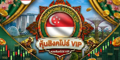 สิงคโปร์ VIP